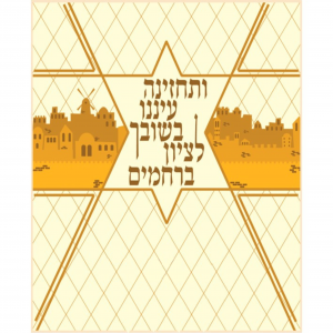 Parochet #47